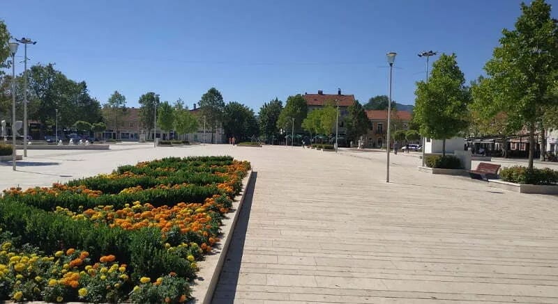 Miroslav Aleksić gost festivala "Auto(r) na korzu"