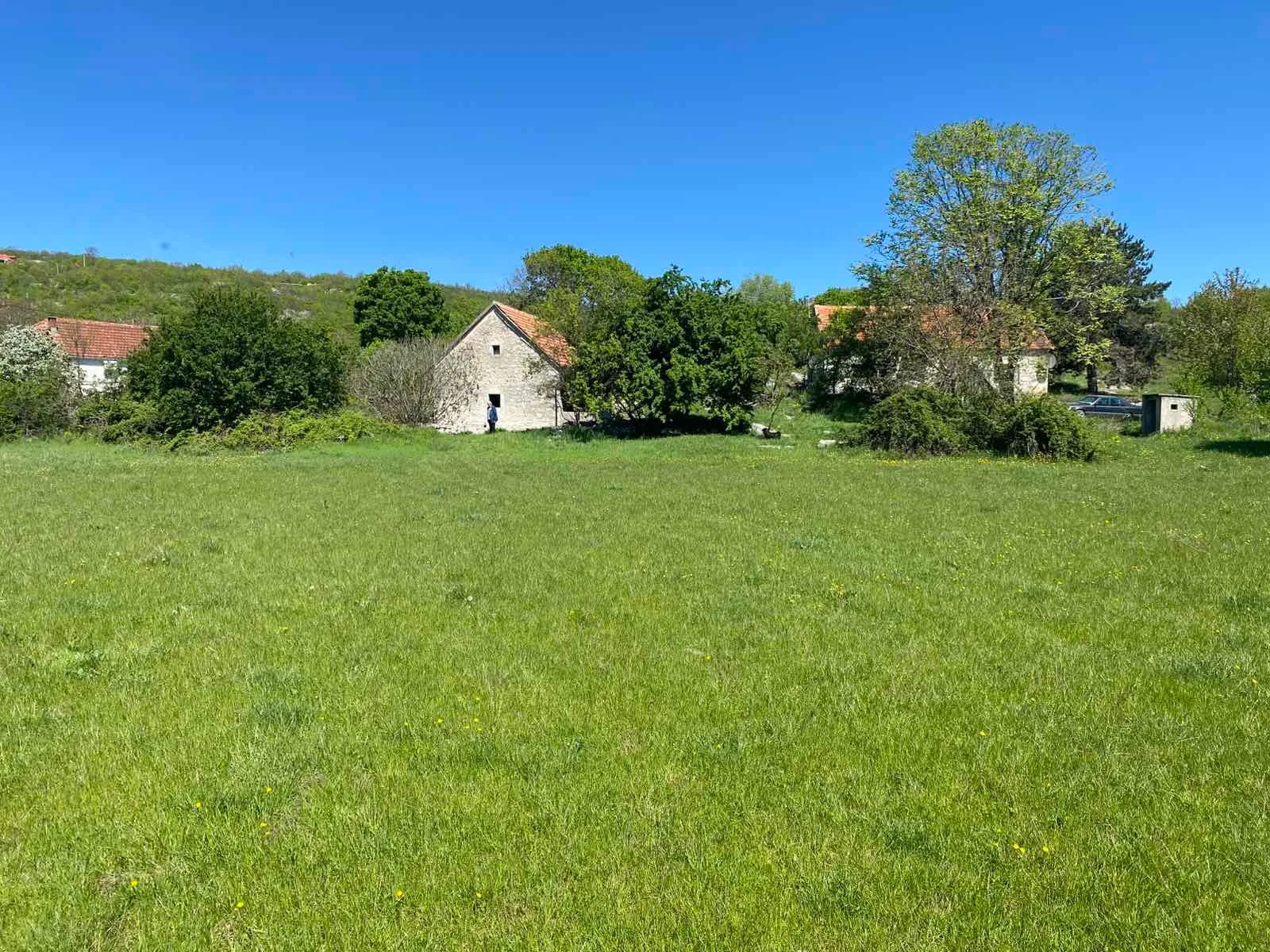 Na Vidrovanu medvjed usmrtio psa: Iščupao i vez i šarplaninca