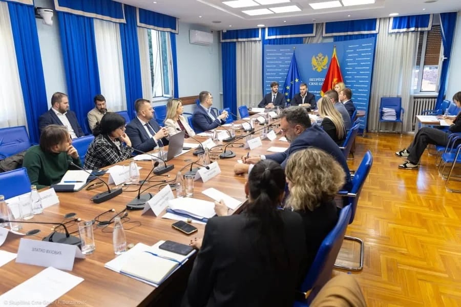 Birački spisak i Šavnik pred Odborom za izbornu reformu