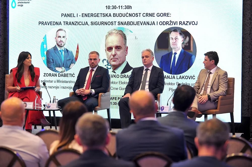 Dragaš: EPCG kroz snažan investicioni ciklus predvodi energetsku tranziciju Crne Gore