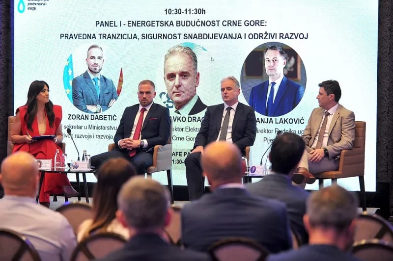 Dragaš: EPCG kroz snažan investicioni ciklus predvodi energetsku tranziciju Crne Gore