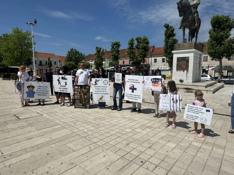 Održan protest Korine: “Psima je bolje na ulici nego u azilu“