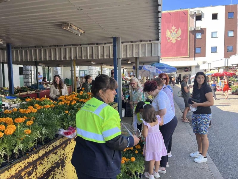 (FOTO) Veliko interesovanje za besplatne sadnice cvijeća na Gradskoj pijaci