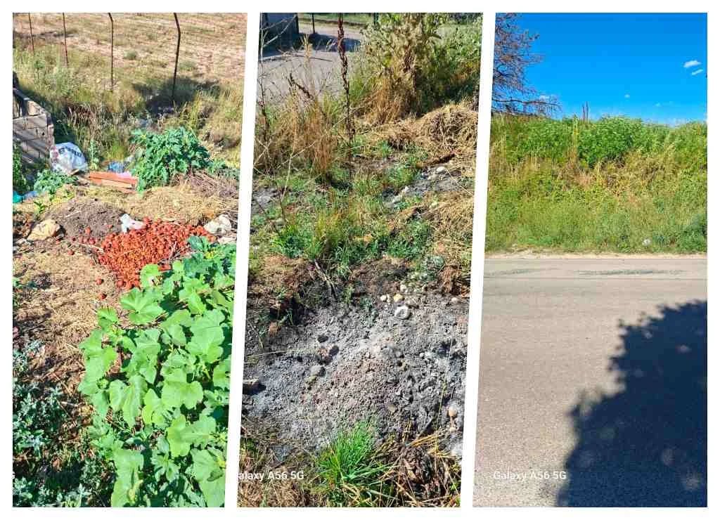 (FOTO/VIDEO) Rudarska ulica obrasla i pretvorena u mini deponiju