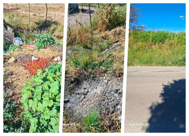 (FOTO/VIDEO) Rudarska ulica obrasla i pretvorena u mini deponiju