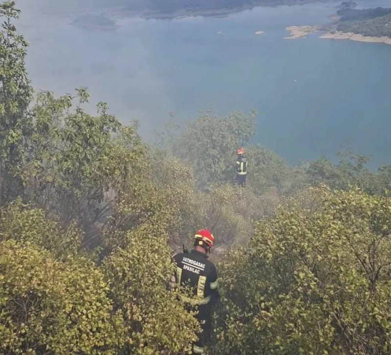 U Nikšiću požar ne ugoržava objekte, gori na potezu Kuside-Trubjela