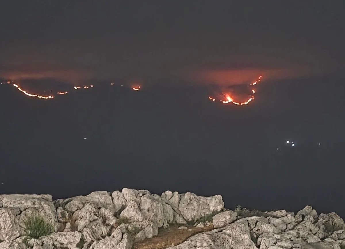 OZON: Nedopustivo je pričati o namjerno izazvanim požarima, a ne indetifikovati i sankcionisati odgovorne