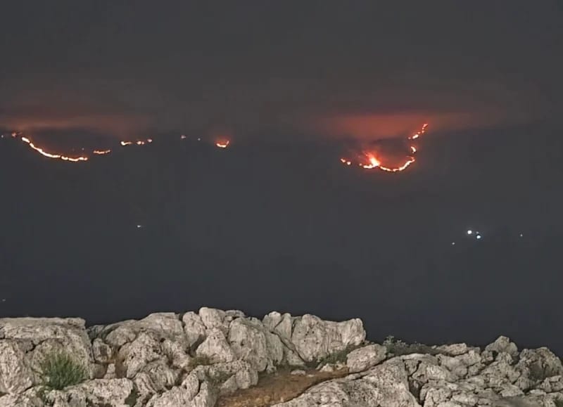 OZON: Nedopustivo je pričati o namjerno izazvanim požarima, a ne indetifikovati i sankcionisati odgovorne