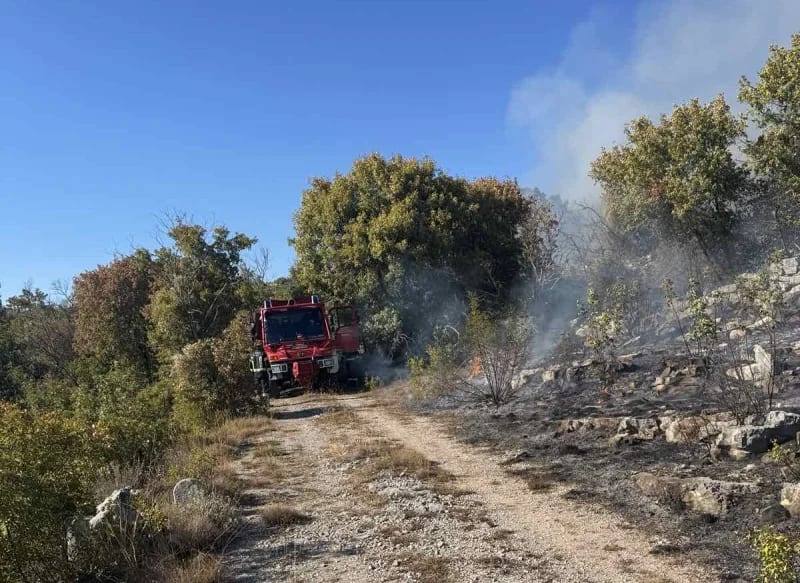Ozon: Nadležni da hitno procesuiraju odgovorne za podmetanje požara ili preuzmu odgovornost